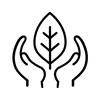 DAILY FOUNDATION